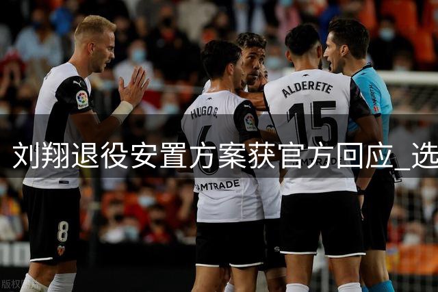 刘翔退役安置方案获官方回应 选择自主择业